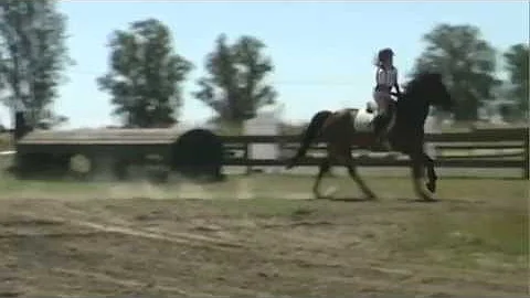 140XC Rebecca Severt at Ram Tap Horse Trials Cross...