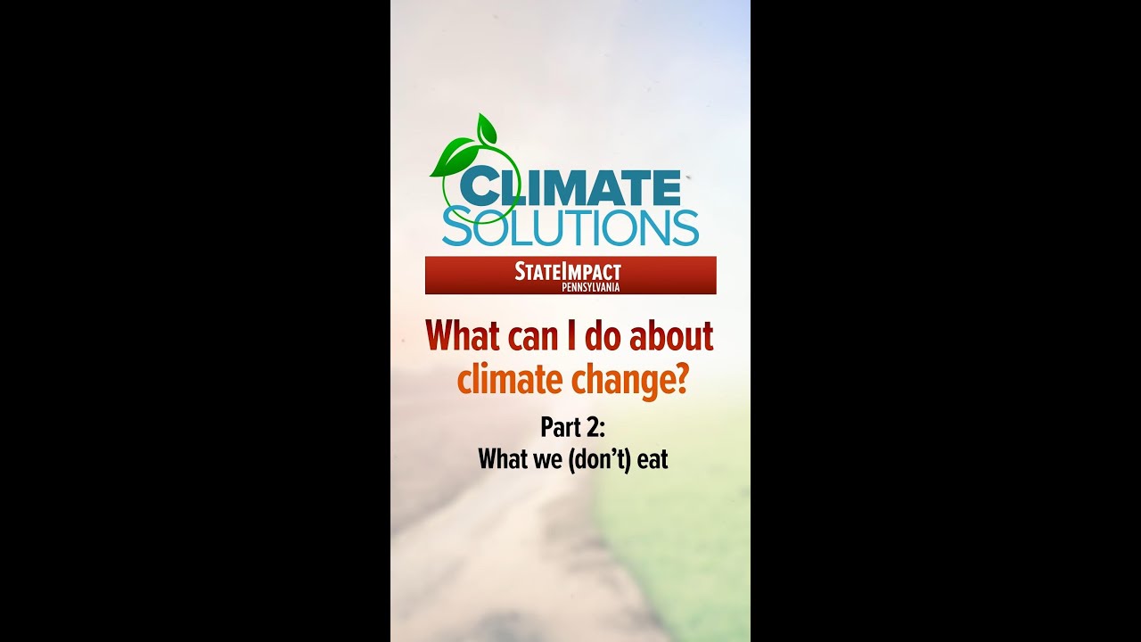 What can I do about climate change? Part 2: What we (don’t) eat - YouTube