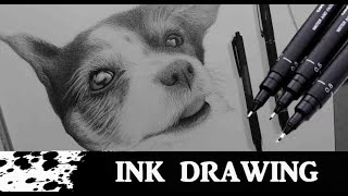 DRAWING BELLA the DOG