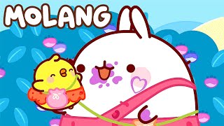 Molang 🐰 THE BERRIES 🍒 ベリーズ 🎵 Cartoon For Kids ⭐ Super Toons TV アニメ
