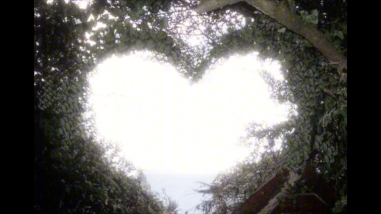 Far from Love - Jondre (rever)