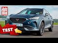 Cupra Formentor (2020): Neuvorstellung - SUV - Crossover - Info - Test