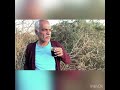 ميسان مدينة الحب والجمال نهر الطيب منطقة الشوايخ 