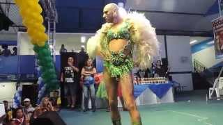 David Guetta & Sia - She Wolf (Falling to Pieces) - Next Star 06/07/2014 na quadra da Portela