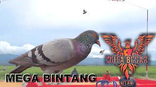 Edisi Spesial 