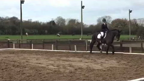 Amy Halstead Dressage Round