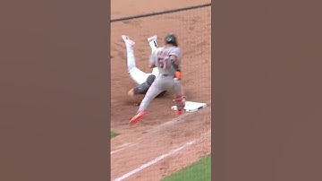 Pete Alonso dives to make the out!