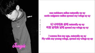 Stray Kids - Spread My Wings (Rom-Han-Eng Lyrics) Color & Picture Coded