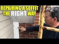 How to Repair and Seal a Soffit INFESTED by Bees