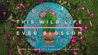 Video thumbnail of "This Wild Life - When We Leave This Place We Leave Alone (Official Audio)"