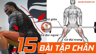 15 Bài Tập Chân Mông Đùi To Cực Nhanh Cho Gymer I WHEYSHOP.VN