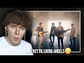 THEY'RE LIVING ANGELS! (Why Don't We - Fallin' (Adrenaline) | Acoustic Video Reaction/Review)