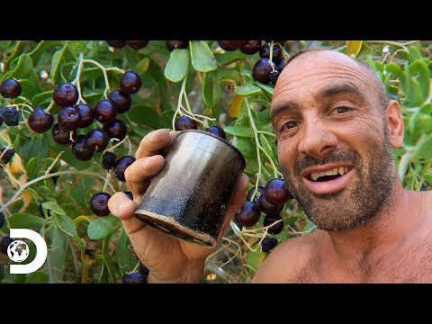 Ed toma chá no deserto da Mongólia | Ed Stafford, o sobrevivente | Discovery Brasil