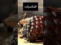 فوائد الصنوبر فوائد الصنوبر