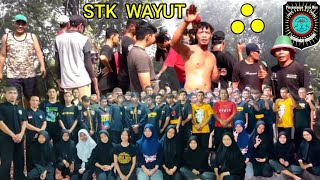 STK WAYUT ! Wong SH WINONGO Ora Mung Pencak Silat Tok | PSHW Tunas Muda Sub Ranting Desa Wayut