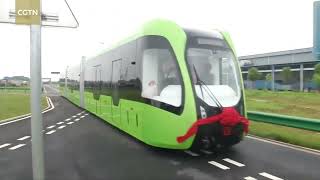 Stem - Laura Oggionni