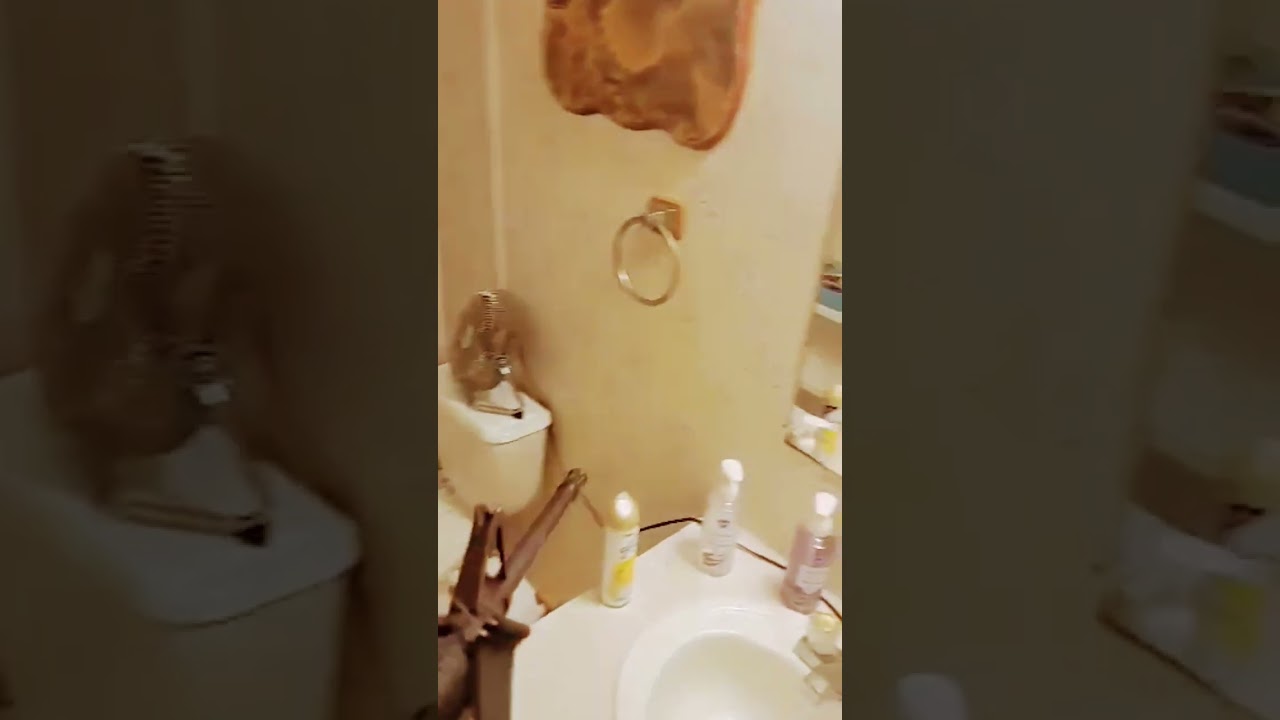 chicom chest rig with hexmags, pov room clearing 