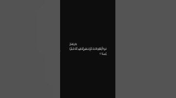 الشيخ احمد حمادي سورة النساء
