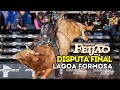 Disputa FINAL rodeio de LAGOA FORMOSA 2024