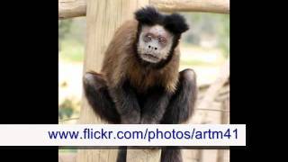 Photos Of  My gallery