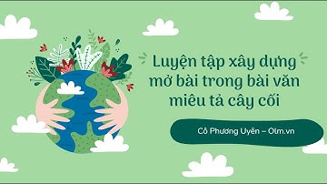 Tập làm văn: Luyện tập xây dựng mở bài đoạn văn miêu tả cây cối - Tiếng Việt lớp 4 [OLM.VN]