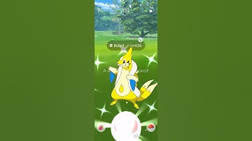Getting Lucky With ✨Shiny Floatzel in #pokemongo