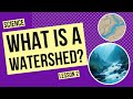 Watershed Dynamics and Their Impact on Ecosystems and Water Quality