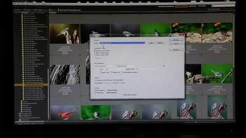 Bridge Batch Rename Presets