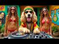 рџ Їрџ І Ganja Best Reggae Music Dub Reggae Live From Bob Marley S House DJ Mambo Beauties рџ Їрџ І Ganja Best Reggae Music Dub Reggae Live From Bob Marley S House DJ Mambo Beauties