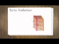 Radiation Types and Their Biological Effects