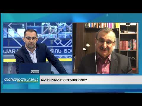თავისუფალი სივრცე-თემა:რა ხდება ოპოზიციაში?