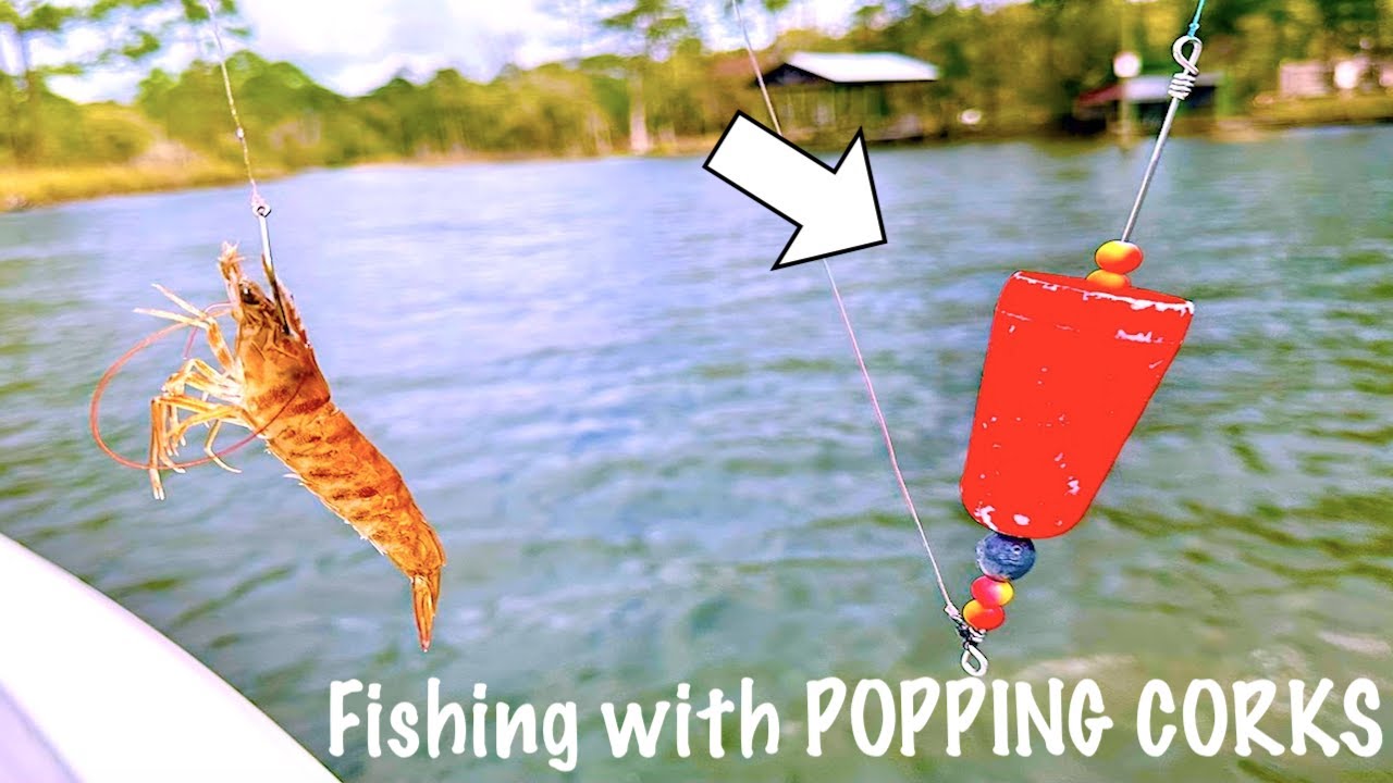 Saltwater Fishing ANYONE Can Do! [The Popping Cork] 