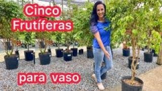 5 frutíferas para cultivar em vasos!