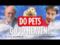 Christianity vs Reincarnation: Heaven, Dinosaurs and Angels