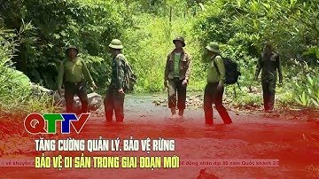 Tăng cường quản lý, bảo vệ rừng, bảo vệ di sản trong giai đoạn mới| QTTV