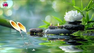 Relaxing Music 🌿 Sound of Bamboo Water Helps to Stabilize The Mind, Restore Health