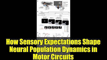 How Sensory Expectations Shape Neural Population Dynamics in Motor Circuits