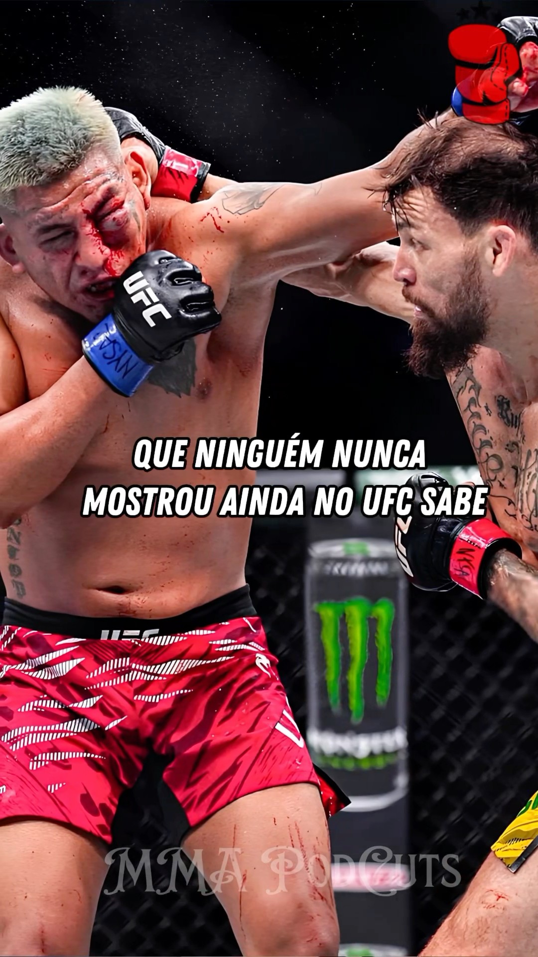 RUFFY VAI SER CAMPEÃO DO UFC #mma #luta #boxe #ufc #foryou #shortsfeed #brasil