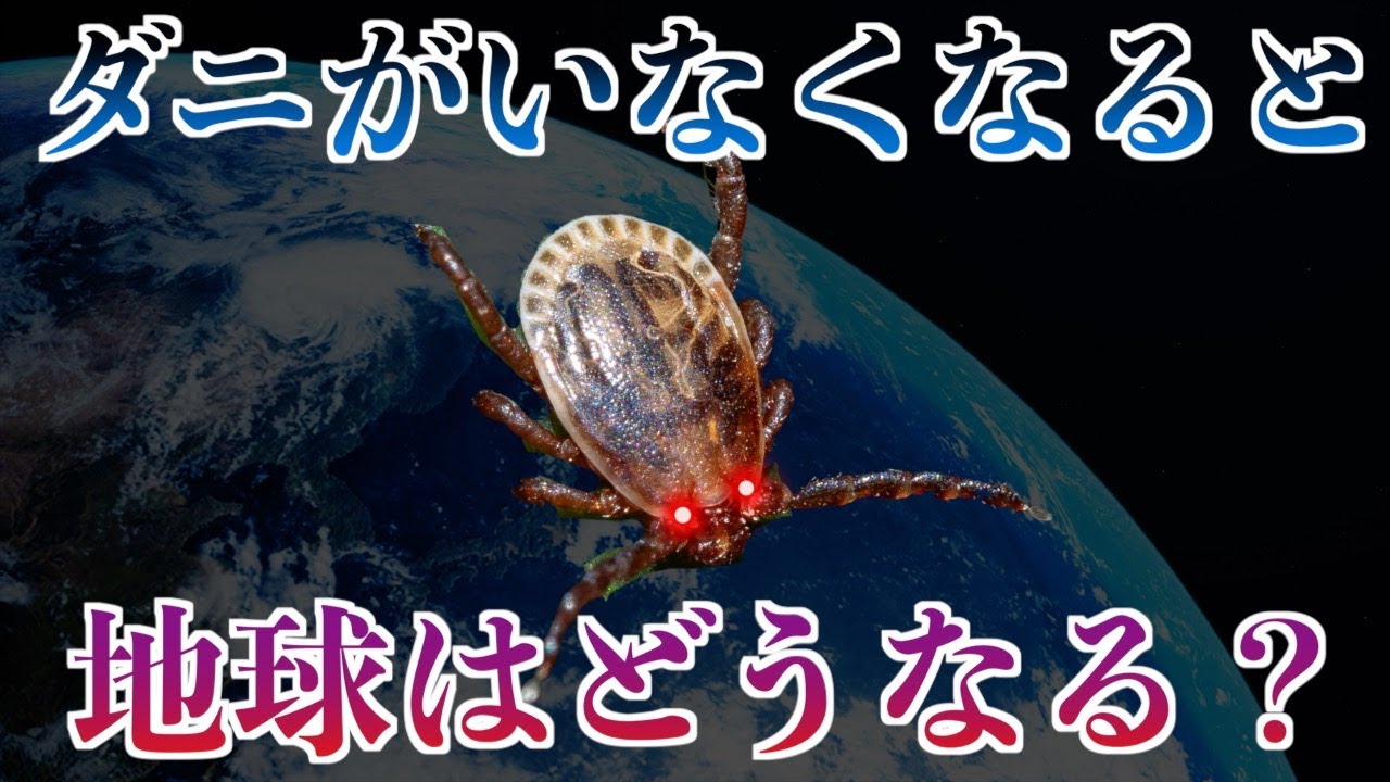 【ゆっくり生物】古代から続く、知られざるマダニの強さとは…？