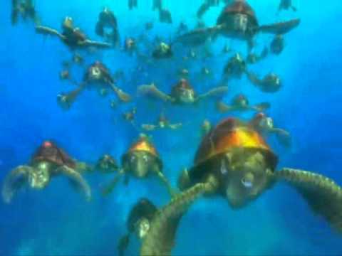 Vídeo: Quantes Tortugues Viuen