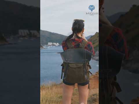 The Last Road on Earth: Nordkapp, Norway | Info Crush | ????️ #LastRoad #Adventure #TravelShorts