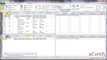 ms project 2010 how to use filters and groups demo