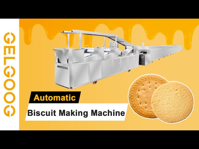 Commerical Biscuit Maker biscuit manufacturing machine – WM machinery