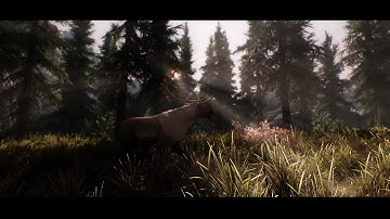 Skyrim Bleak ENB, Unbleak ENB