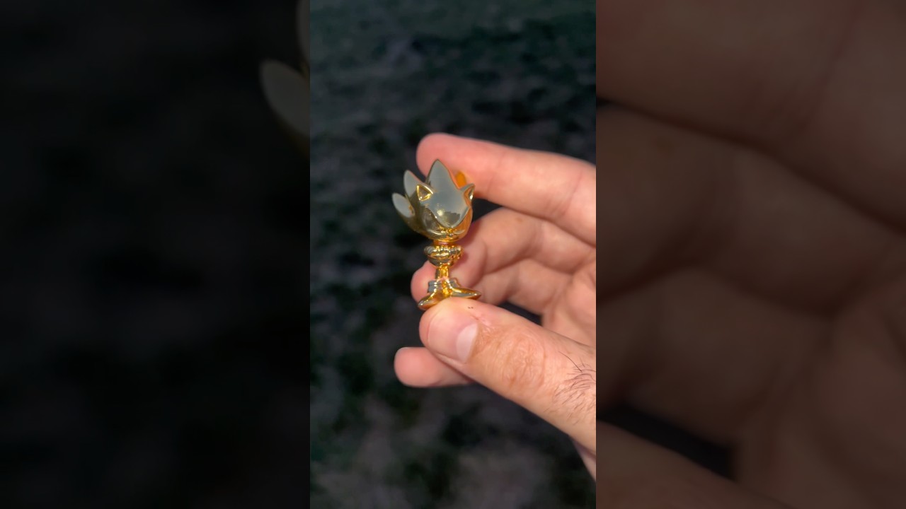 I Found A Gold Plated Sonic!