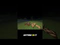 One fun fact about every item in Minecraft Stone Pressure Plates