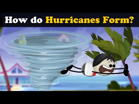 How do Hurricanes Form? + more videos | #aumsum #kids #science #education #children