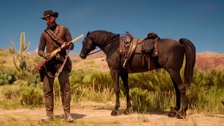 EL VAQUERO MAS RUDO DEL VIEJO OESTE | RED DEAD REDEMPTION 2 screenshot 2