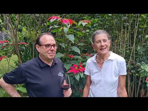 Pura Vida in Costa Rica - Weinprobe in Costa Rica - Bodegas Navarro Lopez, Valdepenas, Spanien