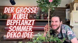 Sommer Deko Inspiration für vor das Haus - Bepflanzter Topf - Sommer 2024 - DIY Anleitung